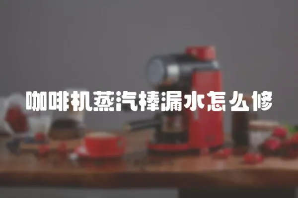 咖啡機(jī)蒸汽棒漏水怎么修