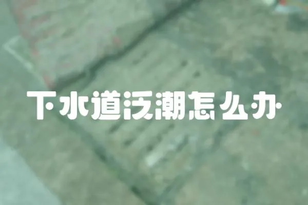 下水道泛潮怎么辦