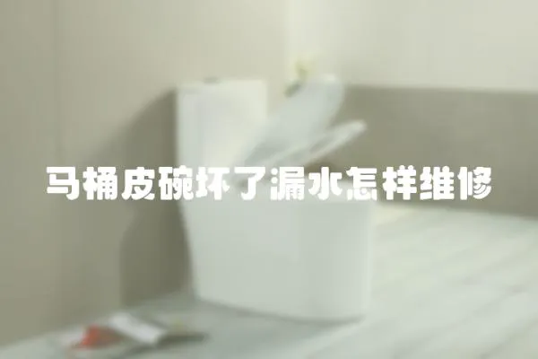 馬桶皮碗壞了漏水怎樣維修