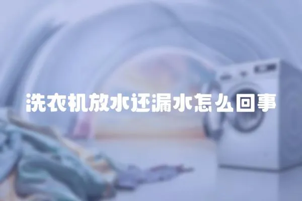 洗衣機放水還漏水怎么回事