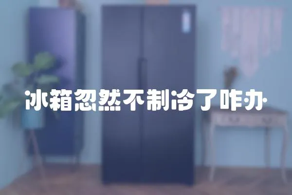 冰箱忽然不制冷了咋辦