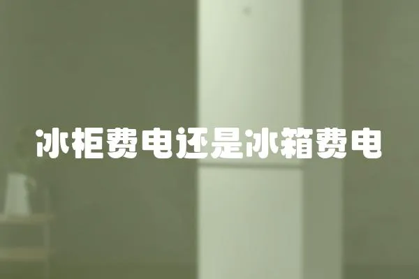 冰柜費電還是冰箱費電