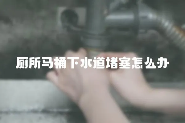 廁所馬桶下水道堵塞怎么辦