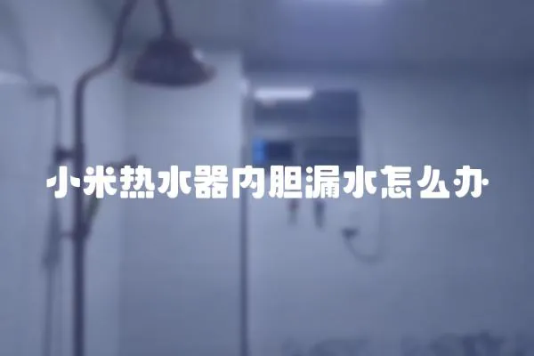 小米熱水器內(nèi)膽漏水怎么辦