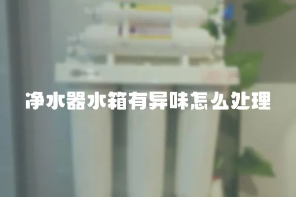 凈水器水箱有異味怎么處理