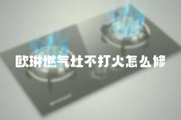 歐琳燃?xì)庠畈淮蚧鹪趺葱?></a></div>
                    <div   id=