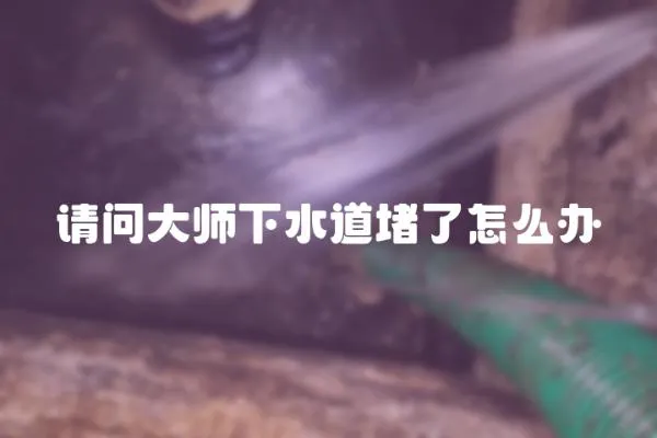 請問大師下水道堵了怎么辦