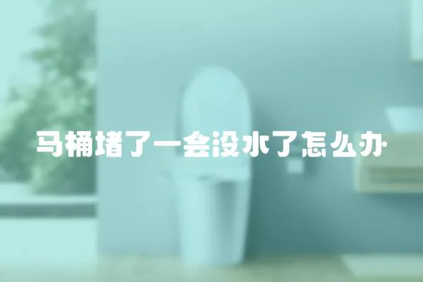 馬桶堵了一會沒水了怎么辦