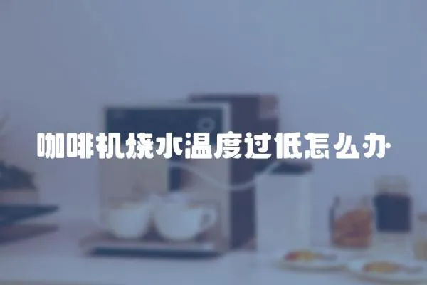 咖啡機燒水溫度過低怎么辦