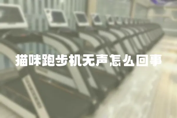 貓咪跑步機無聲怎么回事