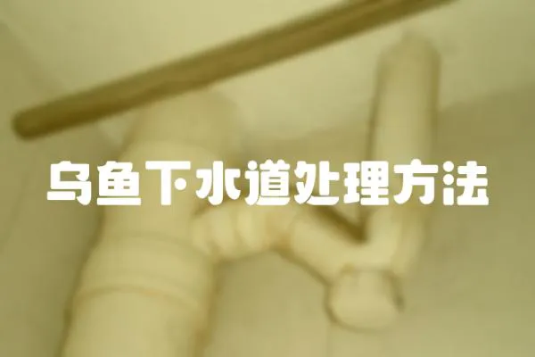 烏魚下水道處理方法