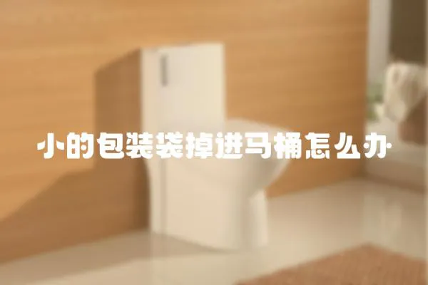 小的包裝袋掉進馬桶怎么辦