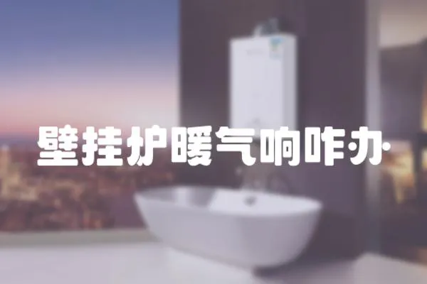 壁掛爐暖氣響咋辦