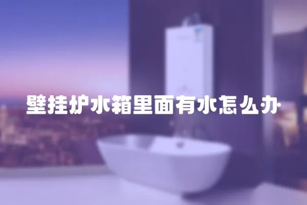 壁掛爐水箱里面有水怎么辦