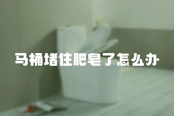 馬桶堵住肥皂了怎么辦