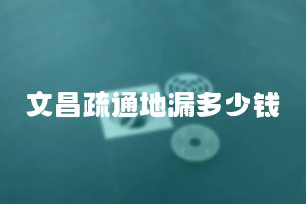 文昌疏通地漏多少錢
