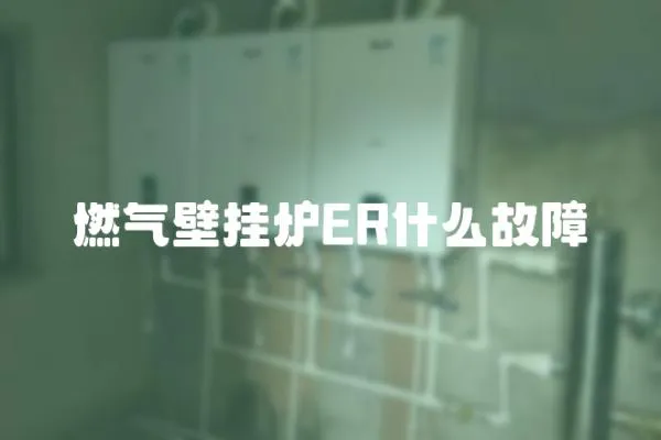燃氣壁掛爐ER什么故障
