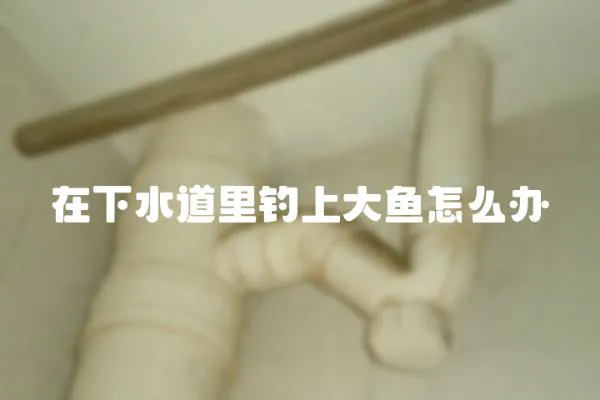 在下水道里釣上大魚怎么辦