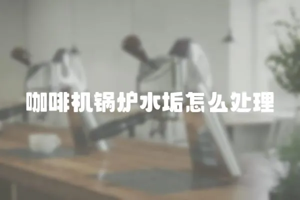咖啡機(jī)鍋爐水垢怎么處理