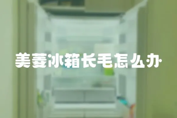 美菱冰箱長毛怎么辦
