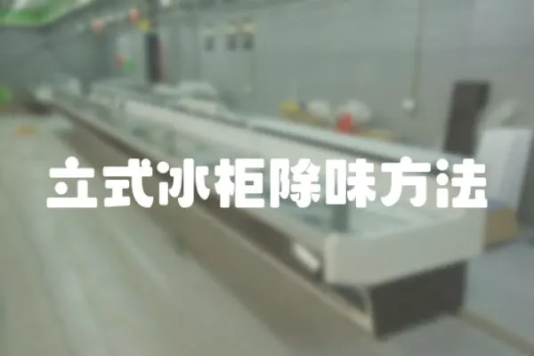立式冰柜除味方法