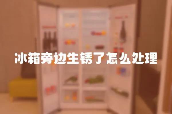 冰箱旁邊生銹了怎么處理