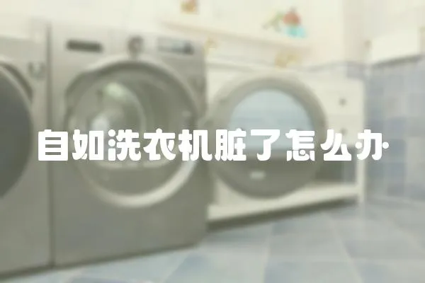 自如洗衣機臟了怎么辦