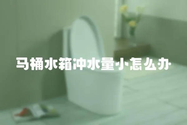 馬桶水箱沖水量小怎么辦