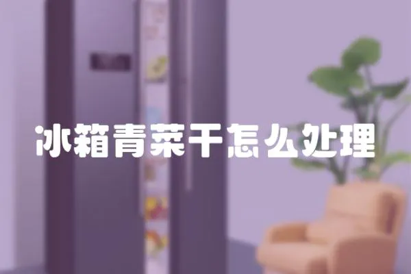 冰箱青菜干怎么處理