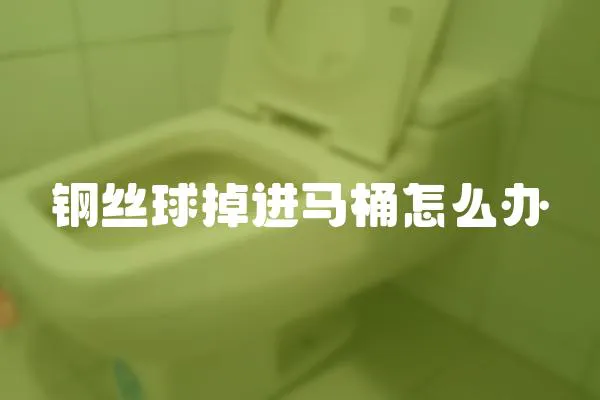 鋼絲球掉進馬桶怎么辦