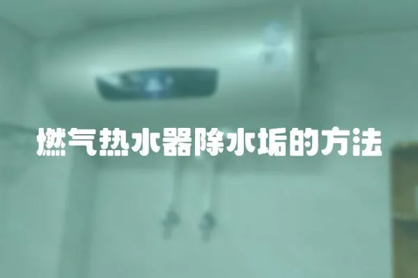 燃氣熱水器除水垢的方法