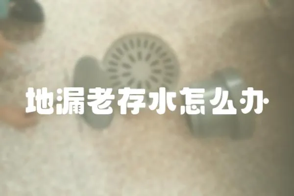 地漏老存水怎么辦