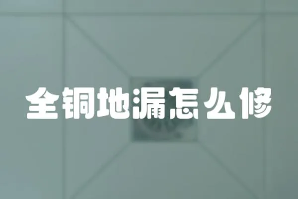 全銅地漏怎么修
