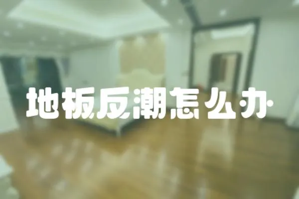 地板反潮怎么辦