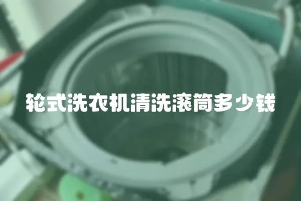 輪式洗衣機(jī)清洗滾筒多少錢