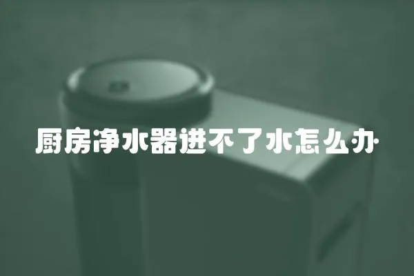廚房凈水器進不了水怎么辦