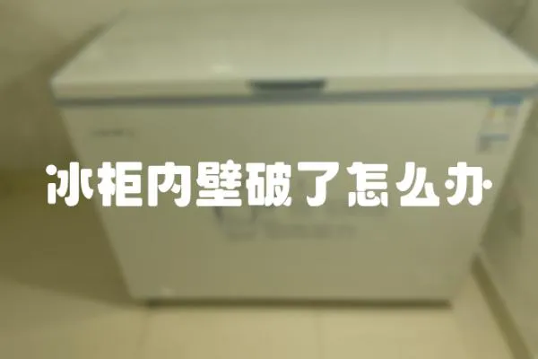 冰柜內壁破了怎么辦