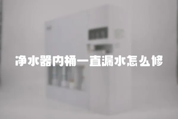 凈水器內桶一直漏水怎么修