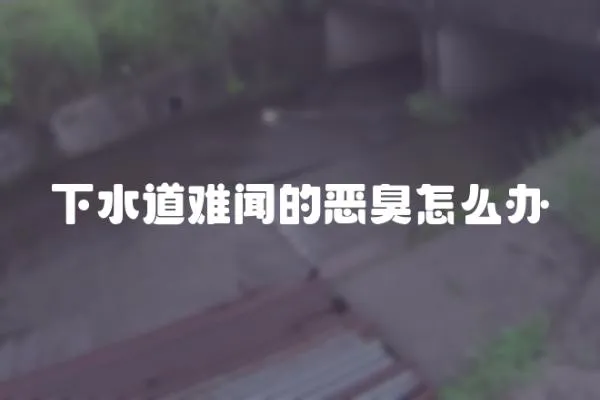 下水道難聞的惡臭怎么辦