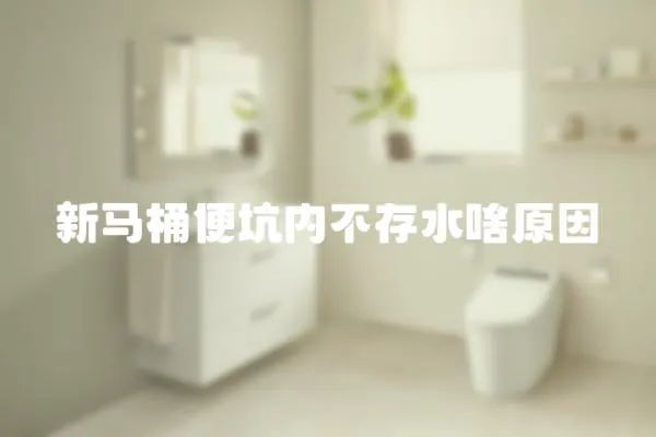 新馬桶便坑內不存水啥原因