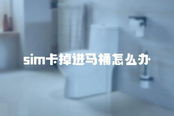 sim卡掉進馬桶怎么辦