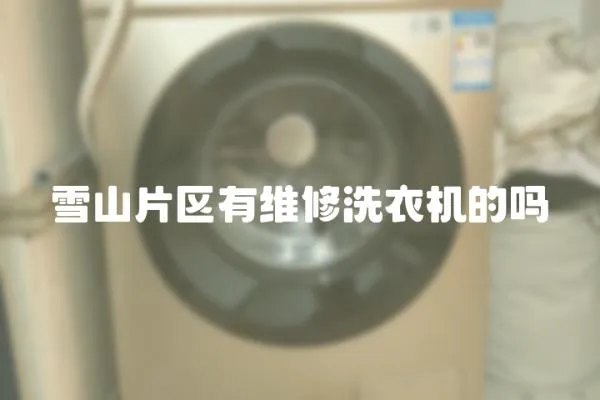 雪山片區有維修洗衣機的嗎