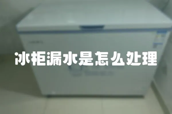 冰柜漏水是怎么處理