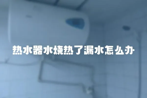 熱水器水燒熱了漏水怎么辦
