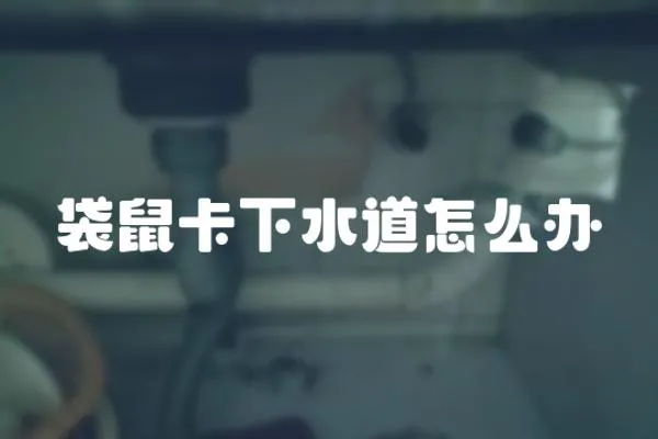 袋鼠卡下水道怎么辦