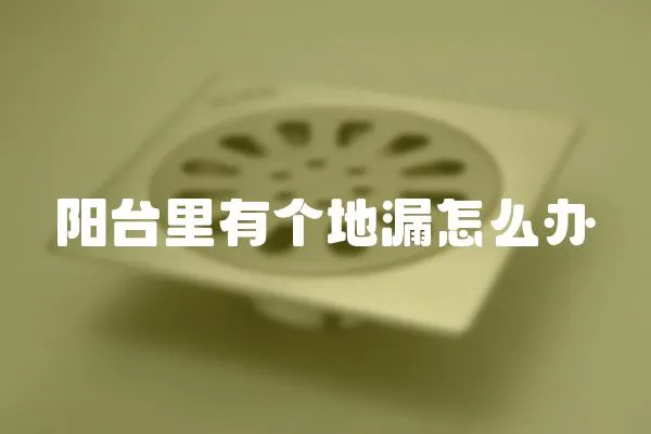 陽臺里有個地漏怎么辦