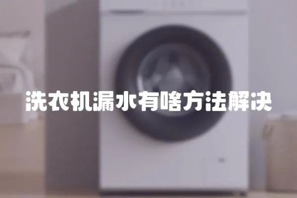 洗衣機漏水有啥方法解決