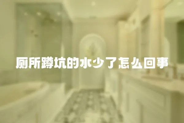 廁所蹲坑的水少了怎么回事