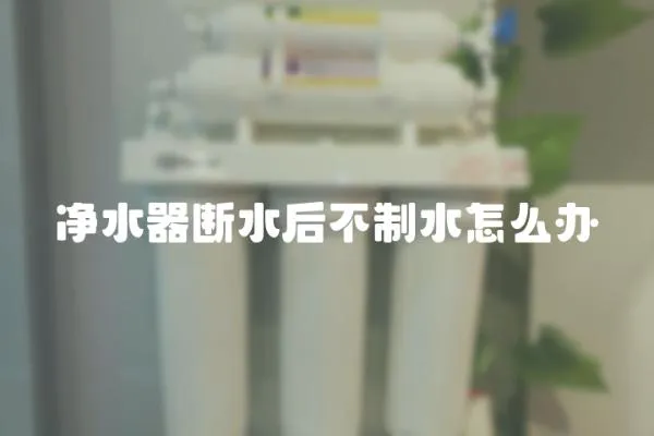 凈水器斷水后不制水怎么辦