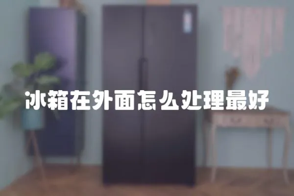 冰箱在外面怎么處理最好
